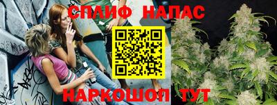 спиды Краснодар