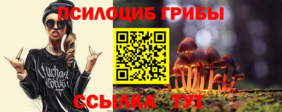 Галлюциногенные грибы Psilocybe Истра